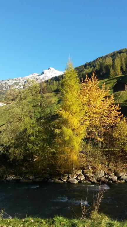 Haus Harbauer Leilighet Neustift im Stubaital Eksteriør bilde