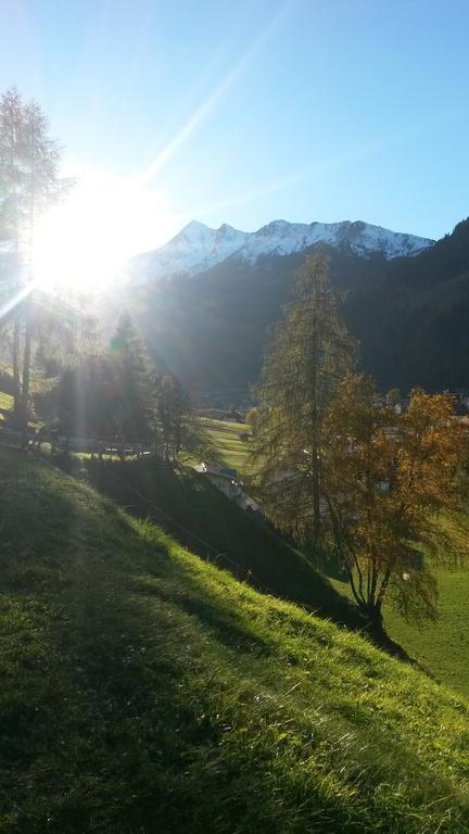 Haus Harbauer Leilighet Neustift im Stubaital Eksteriør bilde