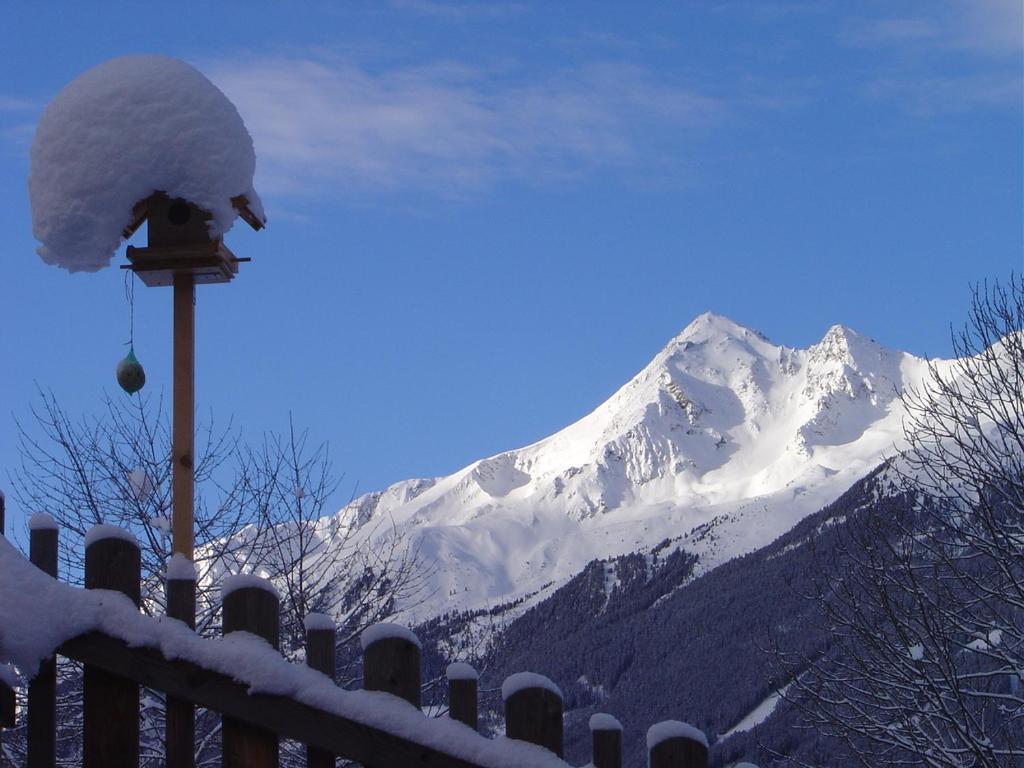 Haus Harbauer Leilighet Neustift im Stubaital Eksteriør bilde